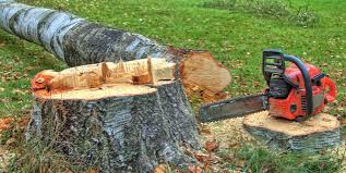  , USA Tree Removal and Landscaping Services Pros